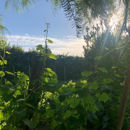 Tikaykilla Lodge & Wines Maipú 外观 照片