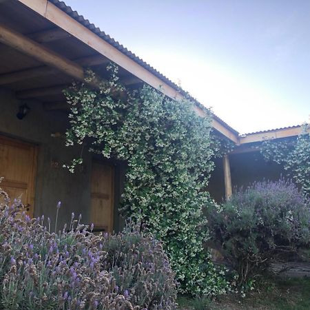 Tikaykilla Lodge & Wines Maipú 外观 照片