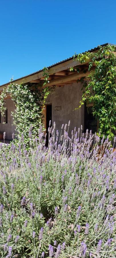 Tikaykilla Lodge & Wines Maipú 外观 照片