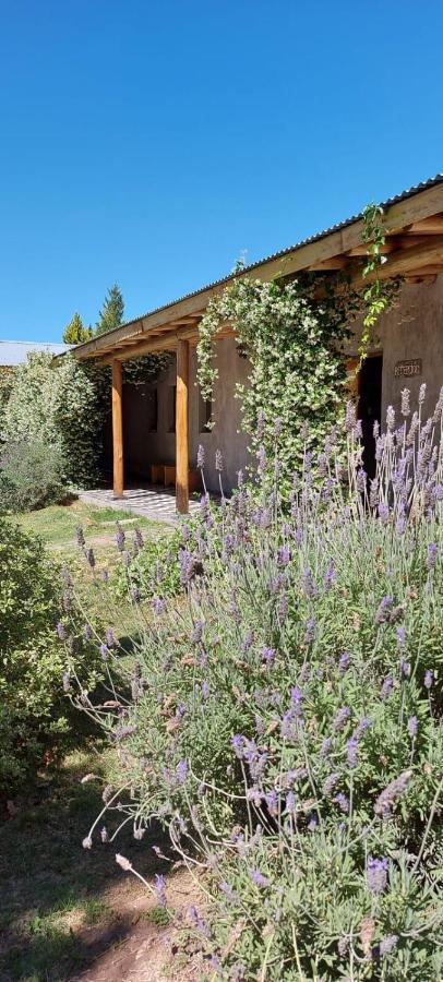 Tikaykilla Lodge & Wines Maipú 外观 照片