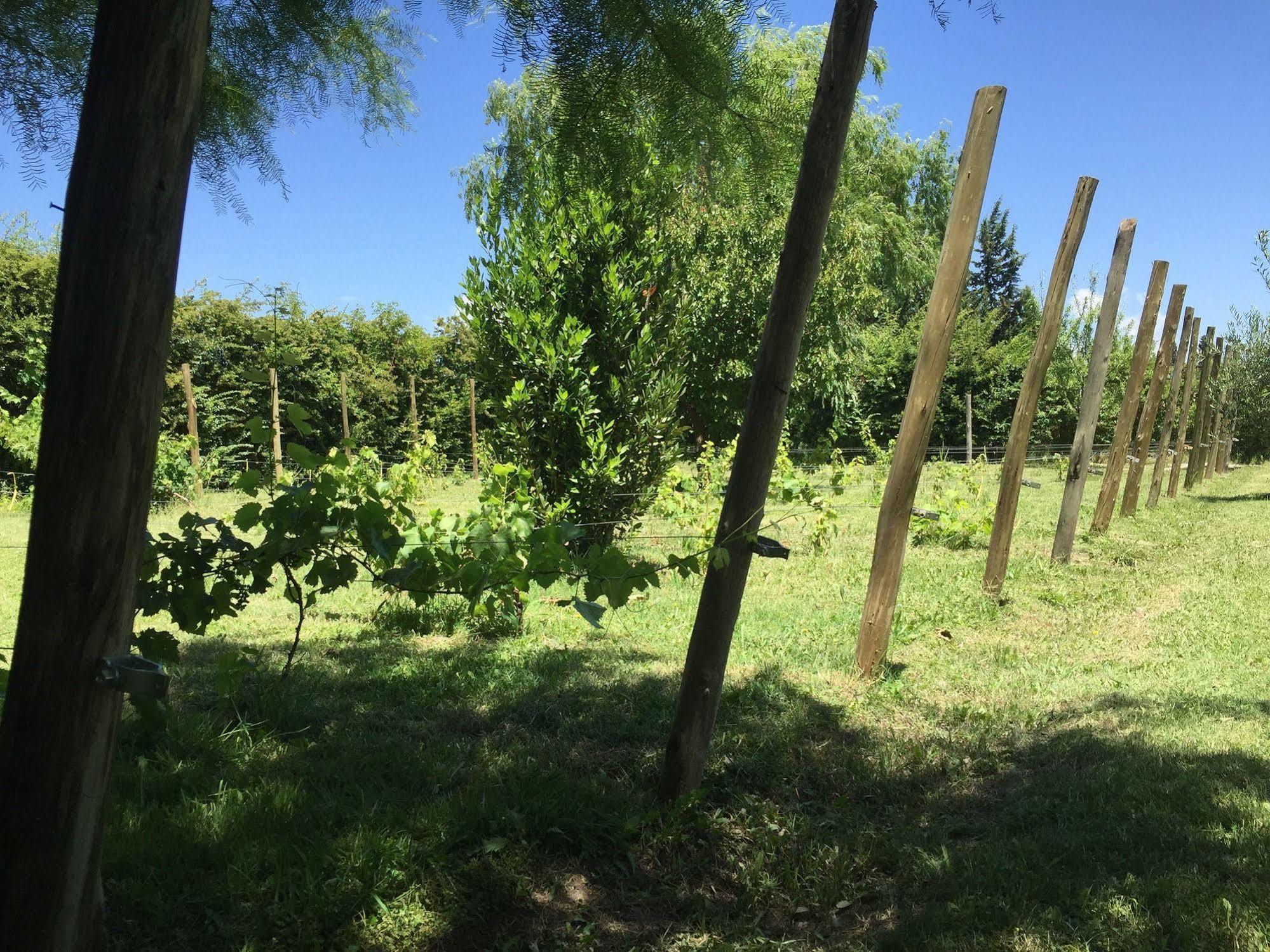 Tikaykilla Lodge & Wines Maipú 外观 照片