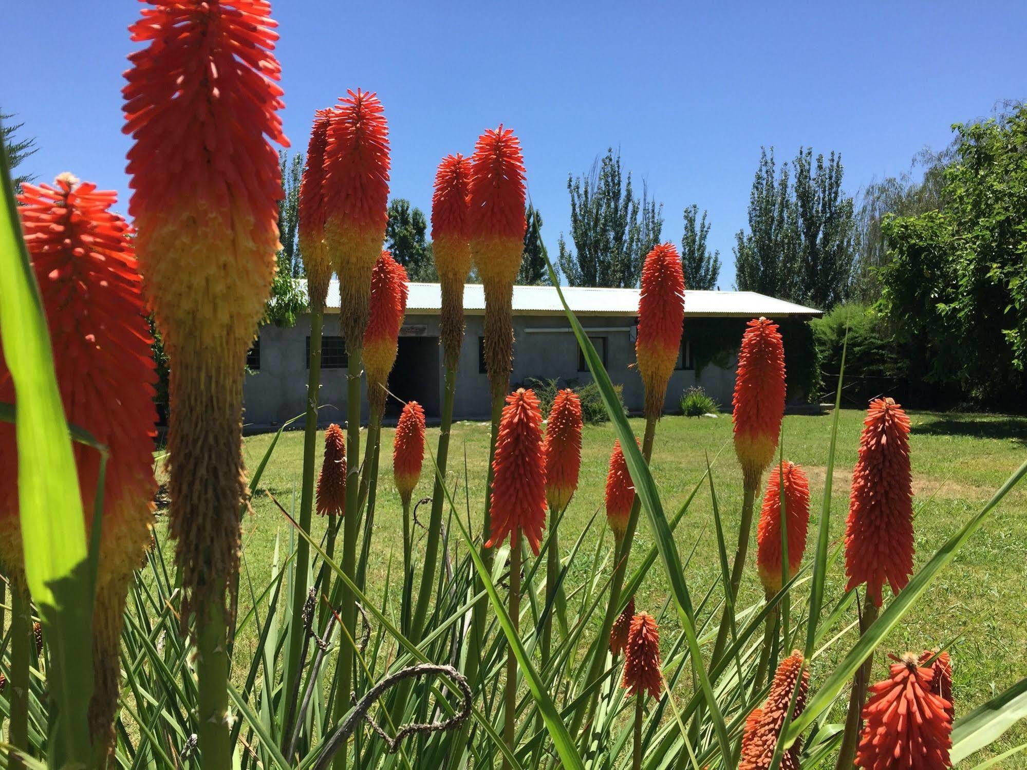 Tikaykilla Lodge & Wines Maipú 外观 照片