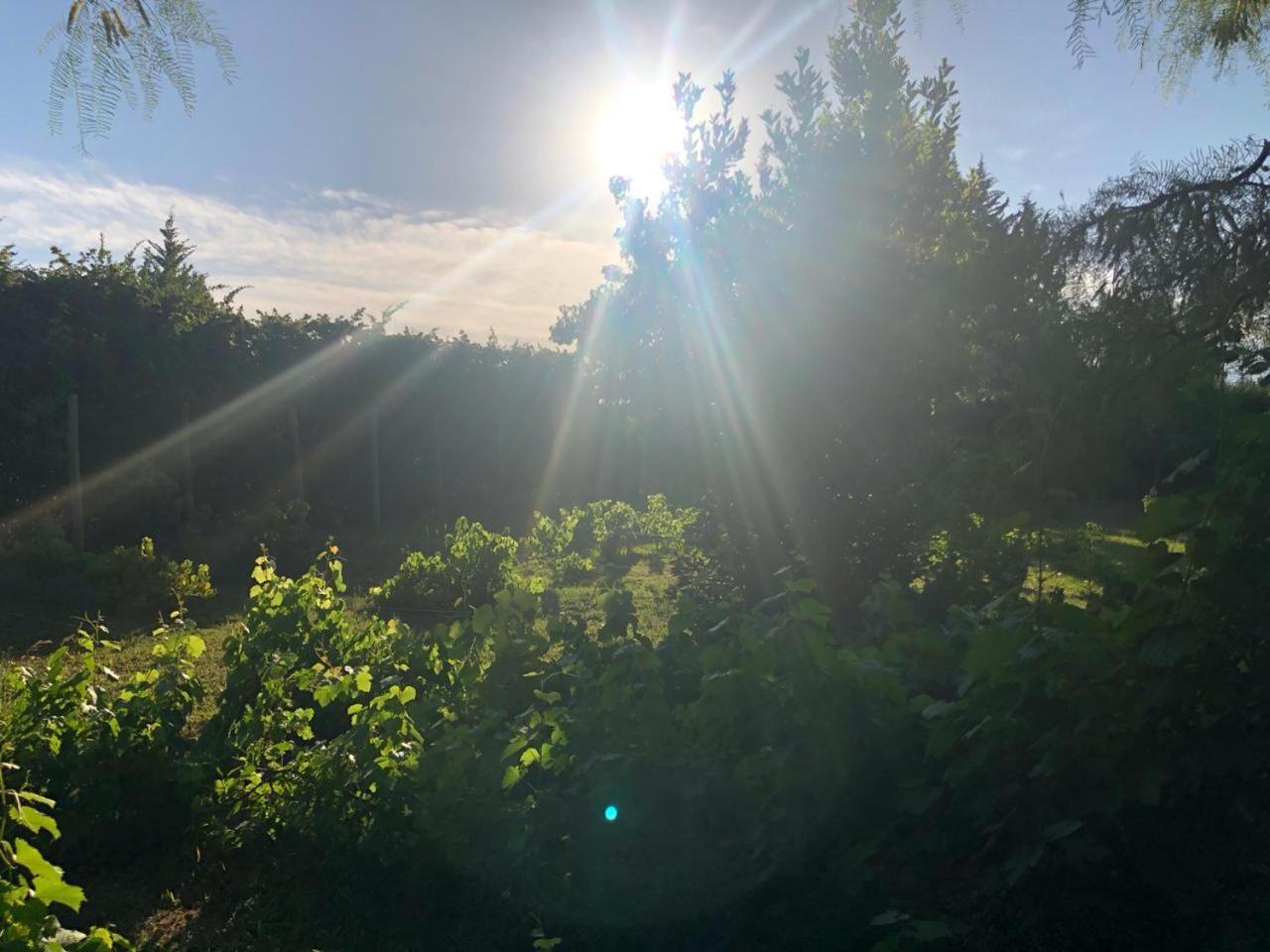 Tikaykilla Lodge & Wines Maipú 外观 照片