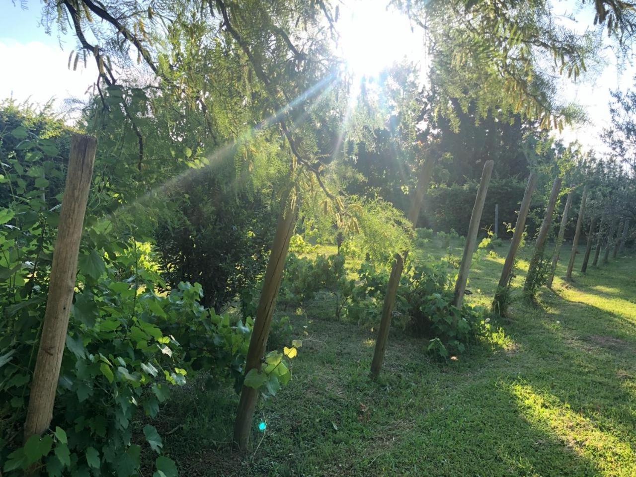 Tikaykilla Lodge & Wines Maipú 外观 照片